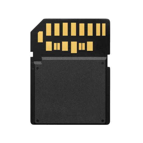 Sony SDXC Tough 256GB