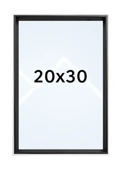 20x30