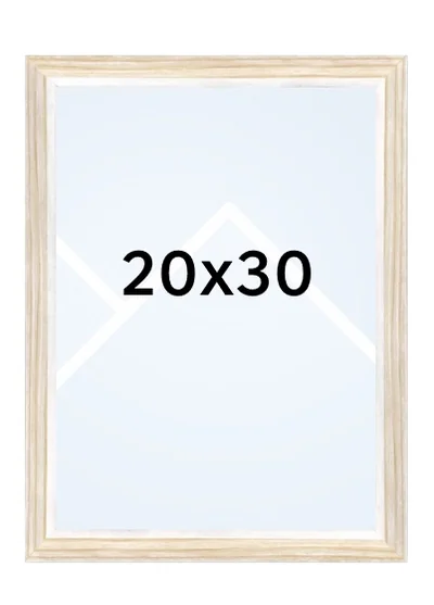 20x30