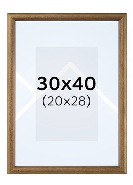 Hama PHOENIX - fotorámik - Hnedá, 20x28, 30x40