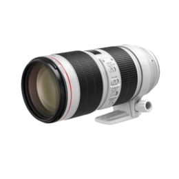 Canon EF 70-200mm f/2.8 L IS III USM