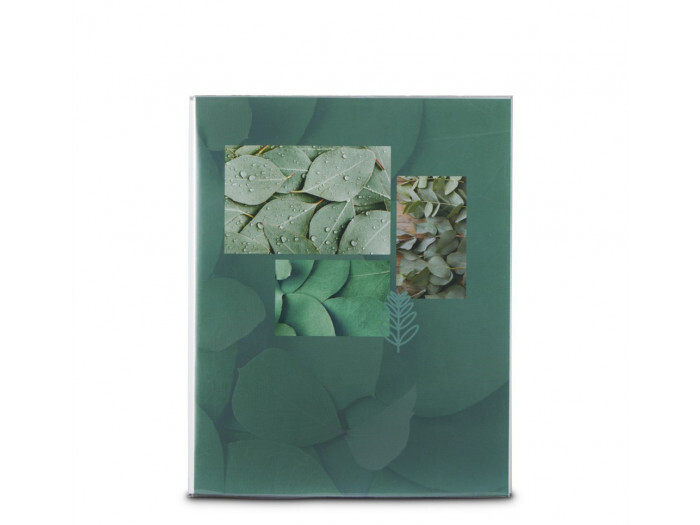 Hama Singo II Leaves 10x15/80