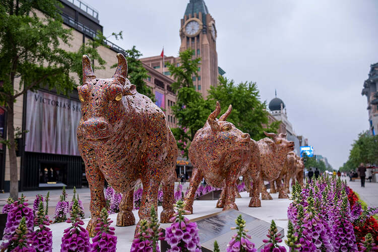 Viltrox AF 23mm f/1.4 XF pre FujiFilm X