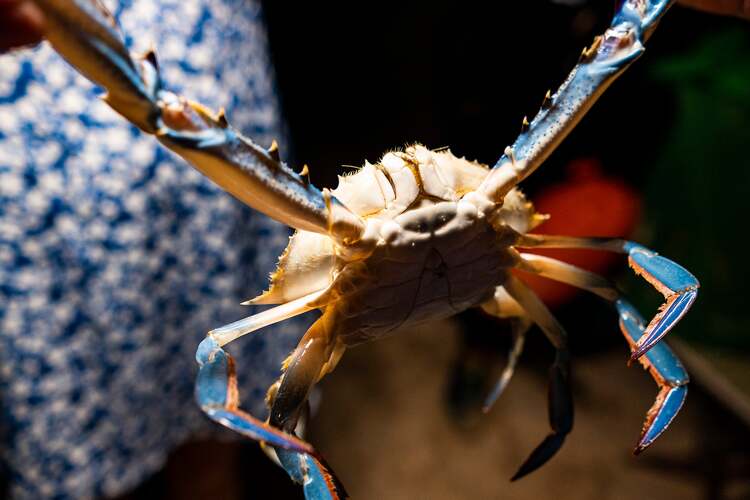 Viltrox AF 23mm f/1.4 Z pre Nikon Z