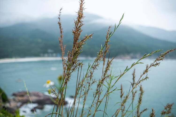 Viltrox AF 23mm f/1.4 Z pre Nikon Z