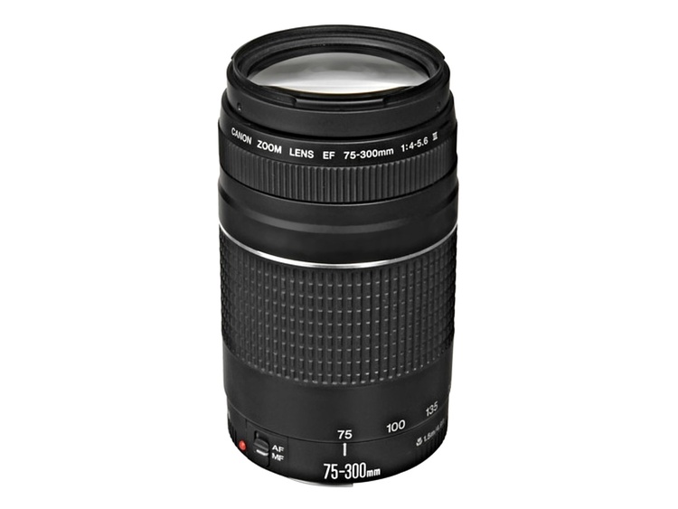 Canon EF 75-300mm f/4-5.6 III