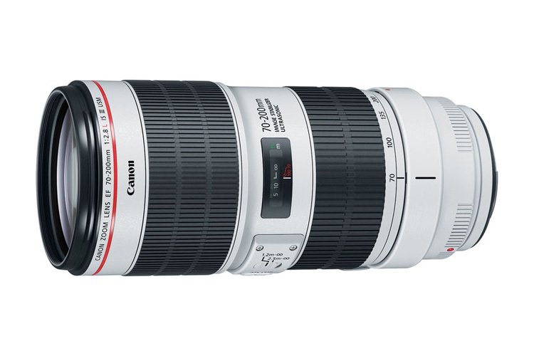 Canon EF 70-200mm f/2.8 L IS III USM