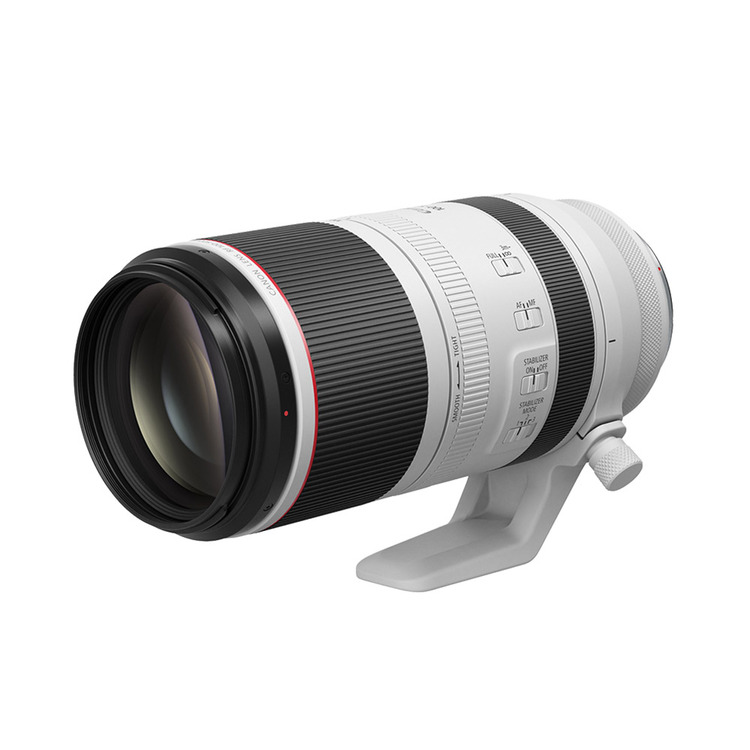 Canon RF 100-500mm f/4.5-7.1 L IS USM