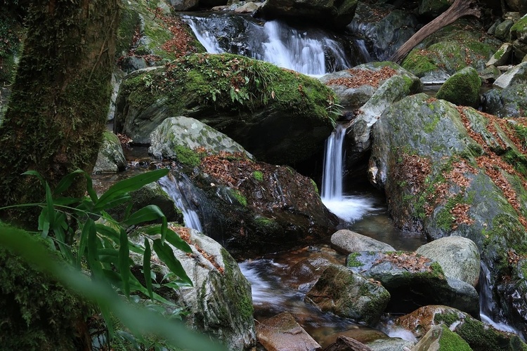 Canon RF-S 18-45mm f/4.5-6.3 IS STM