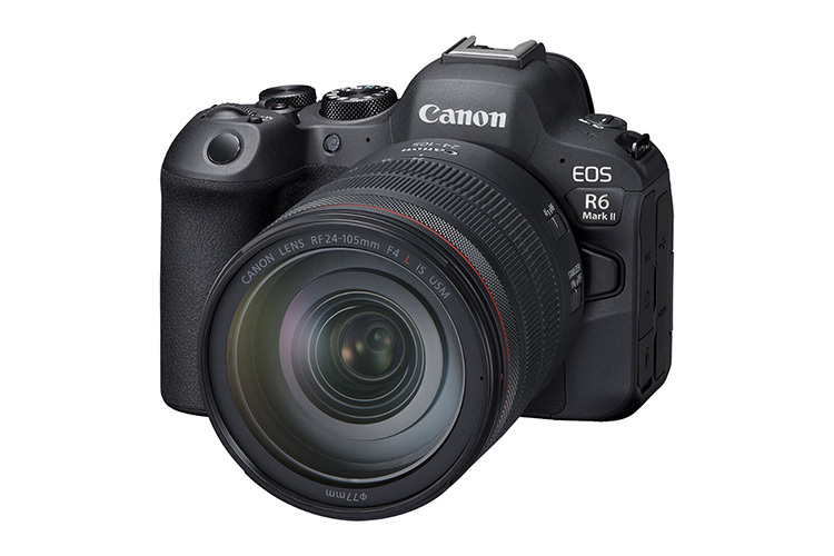 Canon EOS R6 Mark II + RF 24-150mm f/4 L IS USM