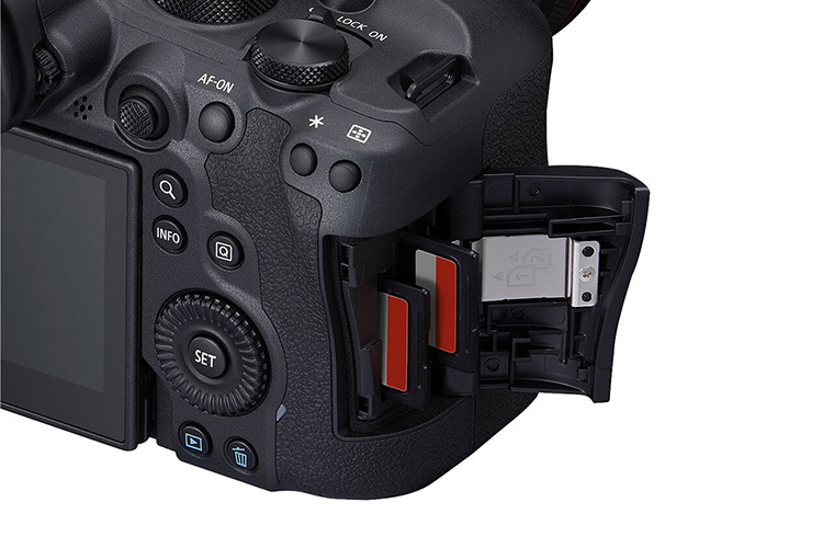 Canon EOS R6 Mark II + RF 24-105mm f/4-7.1 IS STM