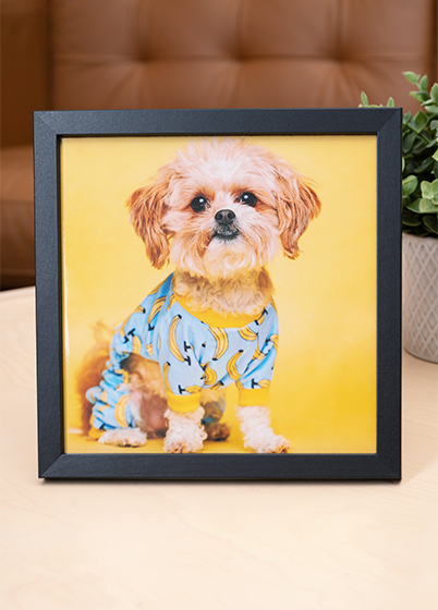 Falc Quadro - fotorámik - Čierna, 15x15, 20x20