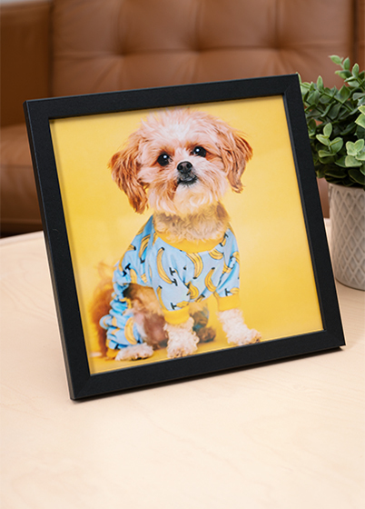 Falc Quadro - fotorámik - Čierna, 15x15, 20x20