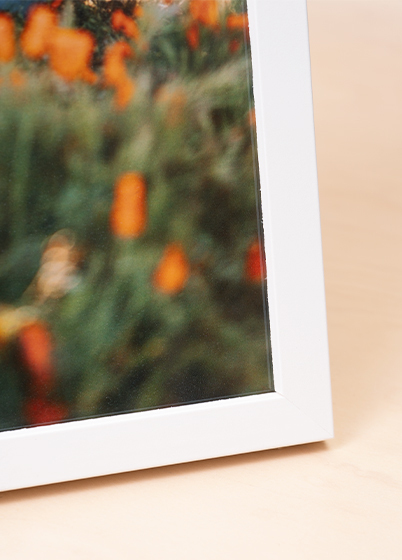 Falc Quadro - fotorámik - Biela, 15x20, 20x25