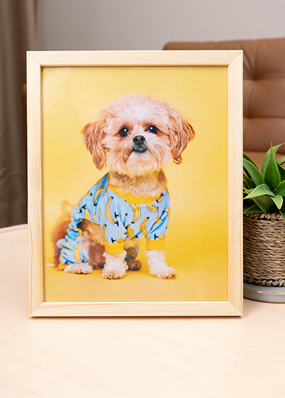 Falc Quadro - fotorámik - Dub, 15x20, 20x25