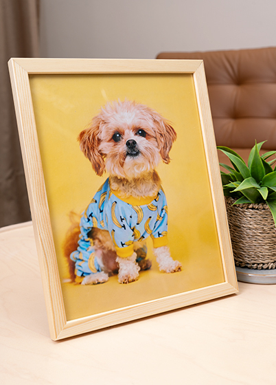 Falc Quadro - fotorámik - Dub, 15x20, 20x25