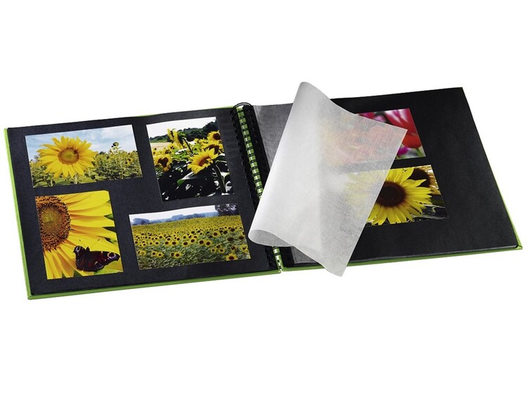 Hama Fine Art zelený 10x15/300