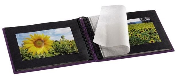 Hama Fine Art fialový 10x15/50