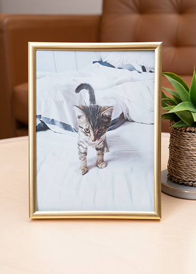 Hama MADRID - fotorámik - Zlatá, 10x15, 15x20