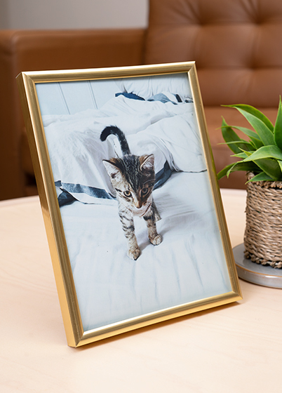 Hama MADRID - fotorámik - Zlatá, 10x15, 15x20