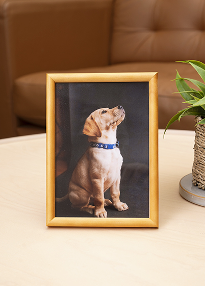 Hama PHOENIX - fotorámik - Korková, 7x10, 10x15