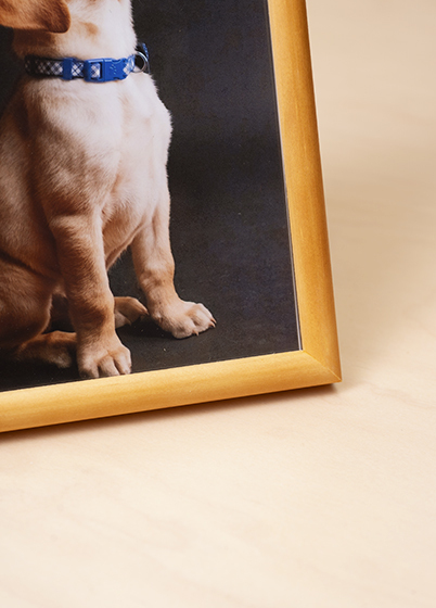 Hama PHOENIX - fotorámik - Korková, 7x10, 10x15