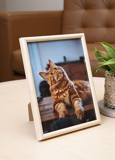 Hama PHOENIX - fotorámik - Prírodná, 9x13, 13x18