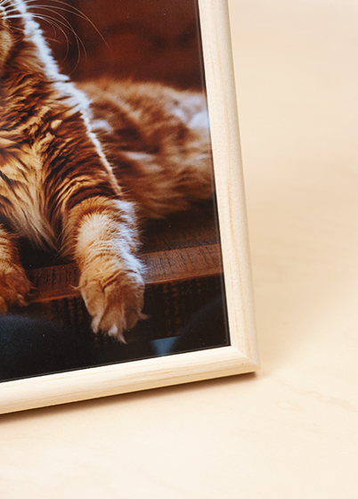 Hama PHOENIX - fotorámik - Prírodná, 9x13, 13x18