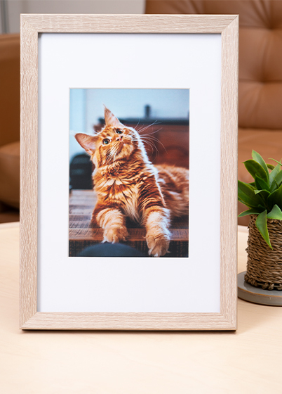 Hama OSLO - fotorámik - Dub, 13x18, 20x30