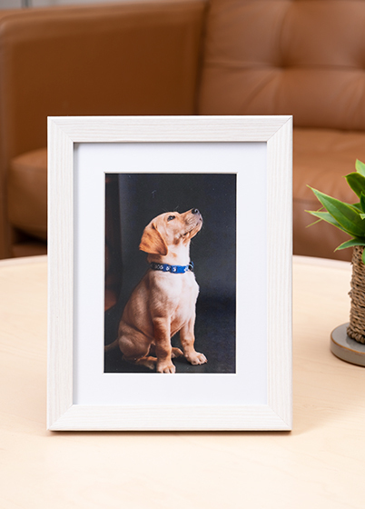 Hama OSLO - fotorámik - Biela, 10x15, 15x20