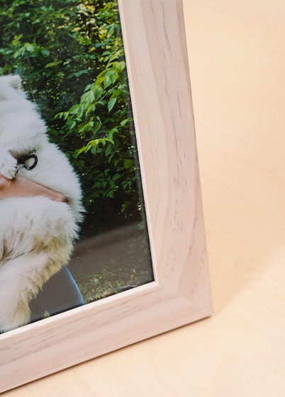 Hama Skara - fotorámik - Breza, 9x13, 13x18