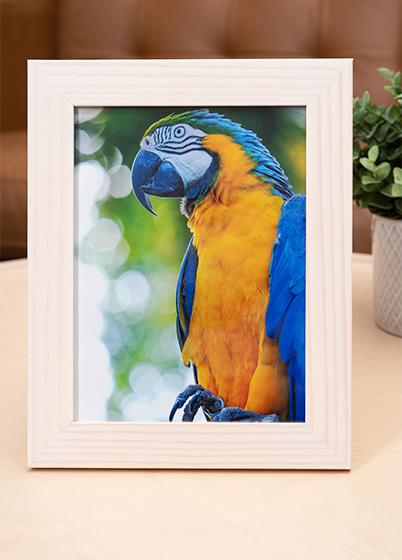 Hama Skara - fotorámik - Breza, 10x15, 15x20