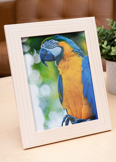 Hama Skara - fotorámik - Breza, 10x15, 15x20