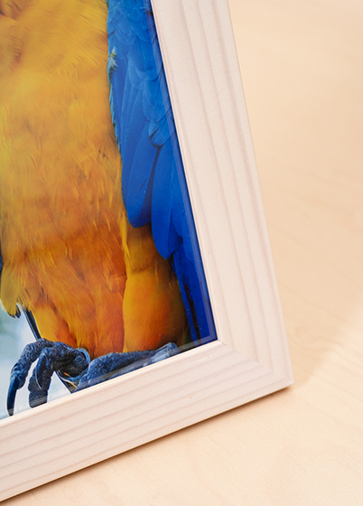 Hama Skara - fotorámik - Breza, 10x15, 15x20