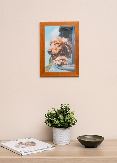 Hama Skara - fotorámik - Orech, 13x18, 20x30