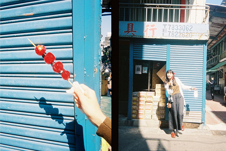 Kodak Ektar H35 Sage