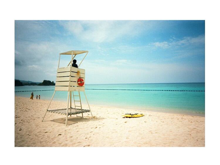 Kodak Snapic A1, Sivý