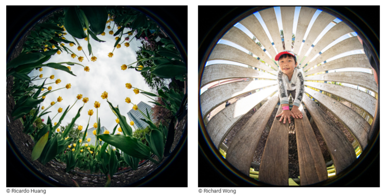 Laowa 4mm f/2.8 Fisheye Nikon Z