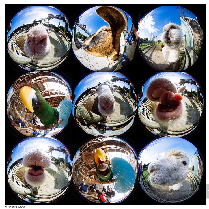 Laowa 4mm f/2.8 Fisheye Nikon Z