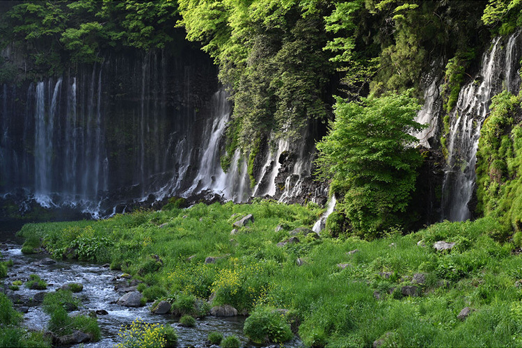 Nikon Z 70-180mm f/2.8