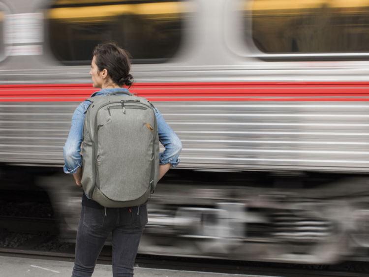 Peak Design Travel Backpack 45L Sage