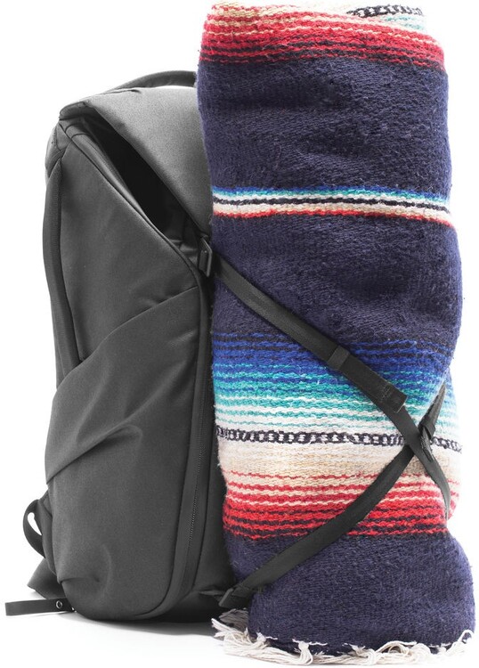 Peak Design Everyday Backpack 20L v2 Black