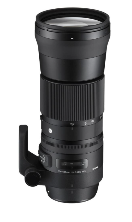 Sigma 150-600mm f/5-6.3 DG OS HSM Contemporary Nikon