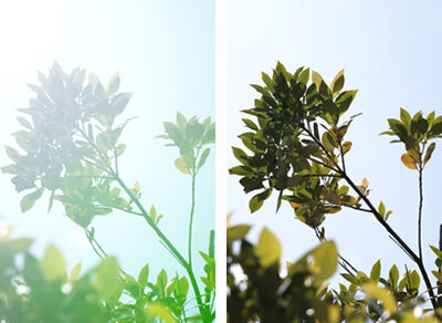 Sigma 16mm f/1.4 DC DN Contemporary Sony E