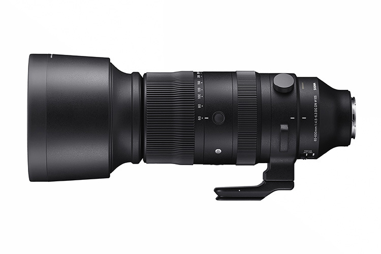 Sigma 60-600mm f/4.5-6.3 DG DN OS Sport pre Sony E
