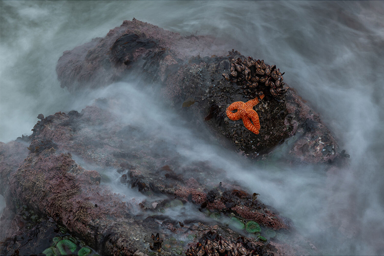 Sigma 28-105mm f/2.8 DG DN Art pre Sony E