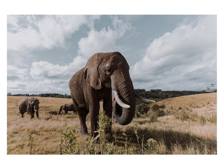 Tamron 11-20mm f/2.8 Di III-A RXD pre Canon RF-S