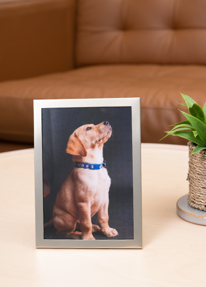 Tradag CHAMPAGNE - fotorámik - Zlatá, 13x18