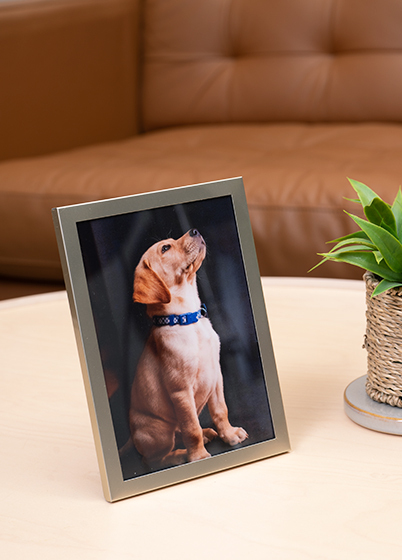 Tradag CHAMPAGNE - fotorámik - Zlatá, 13x18