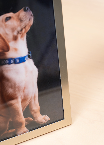 Tradag CHAMPAGNE - fotorámik - Zlatá, 13x18